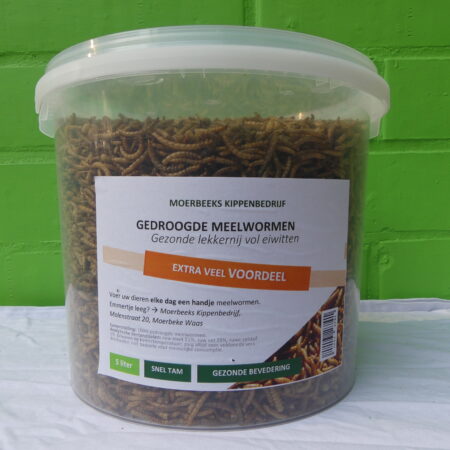 19 - meelwormen 5 liter