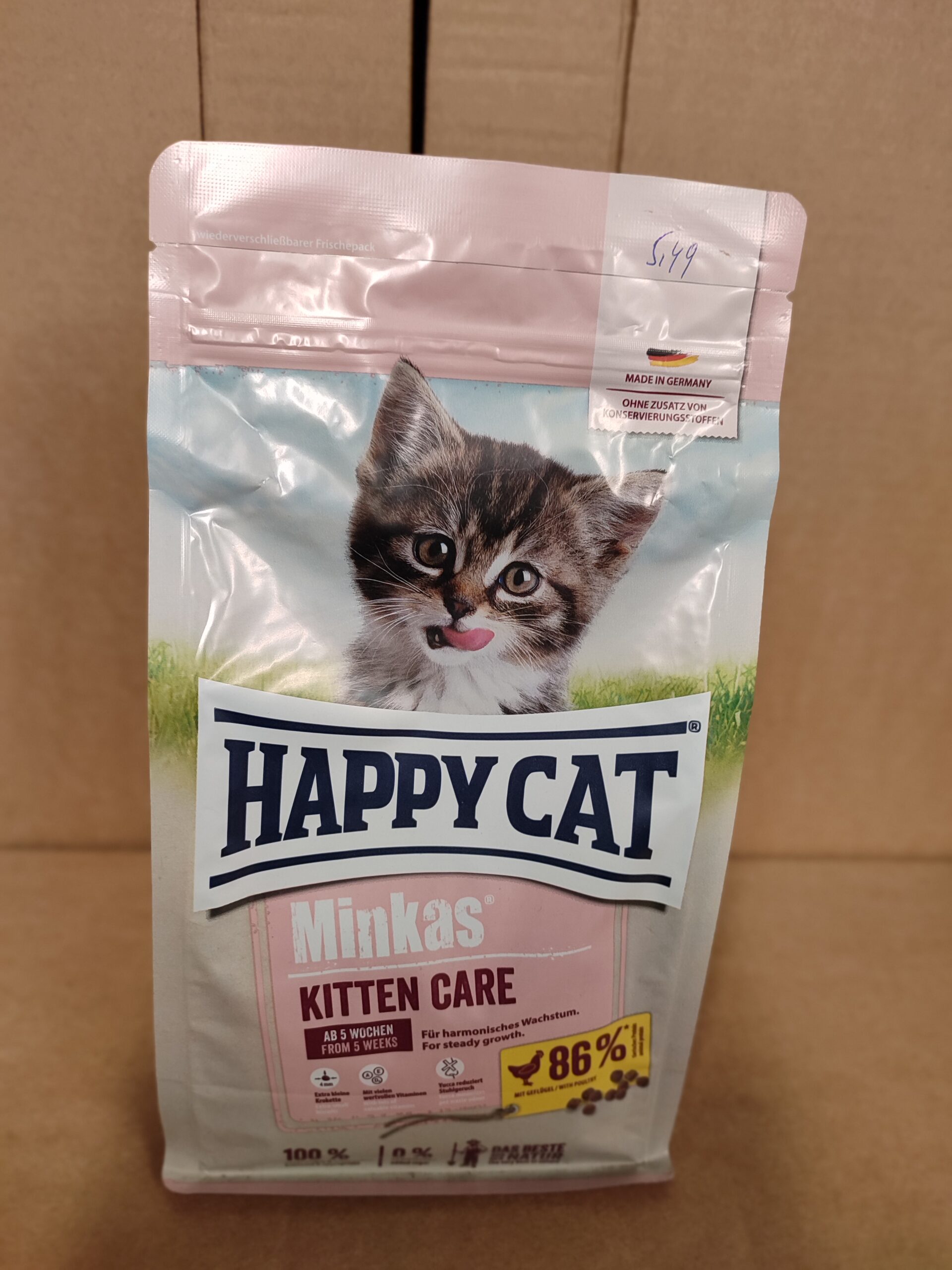 Happy Cat Kitten