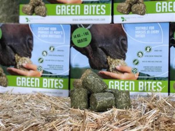 Mijten_greenbitess 1